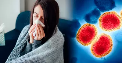 Fuerte gripe H3N2 se propaga de forma acelerada y anticipada en Europa y Estados