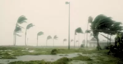 Se incrementar la velocidad de los vientos en la selva este fin de semana.