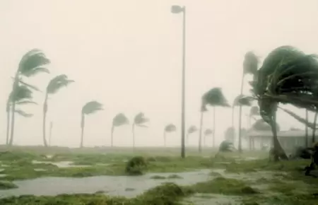 Se incrementar la velocidad de los vientos en la selva este fin de semana.