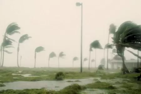 Se incrementar la velocidad de los vientos en la selva este fin de semana.