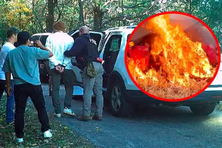 Influencer detenido por presunta evasin fiscal.