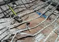 Puno: Obrero fallece y al menos nueve personas resultan heridos tras colapso de Coliseo de Salcedo