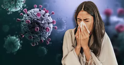 Influenza A H3N2 llegara a Sudamrica en invierno 2026