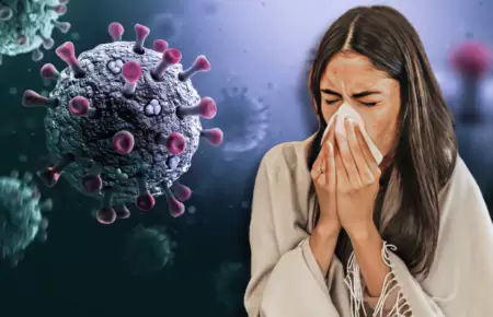 Influenza A H3N2 llegara a Sudamrica en invierno 2026