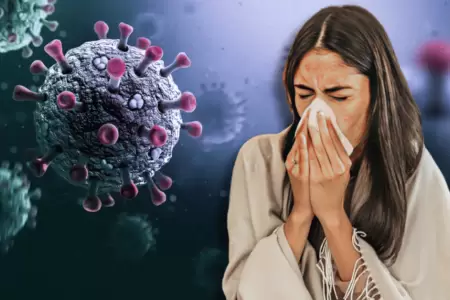 Influenza A H3N2 llegara a Sudamrica en invierno 2026
