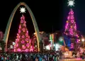 As es el rbol de Navidad ms alto del Per: Ms de 30 metros de altura y adornos histricos
