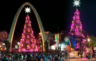 As� es el �rbol de Navidad m�s alto del Per�: M�s de 30 metros de altura y adornos hist�ricos