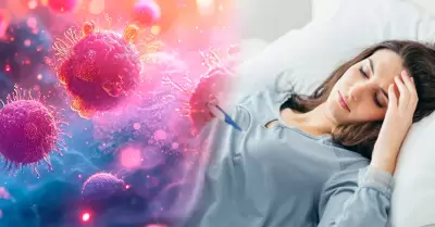 Recomendaciones para ayudar a prevenir la influenza A H3N2