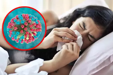 Ernesto Gozzer precisa que los s�ntomas con como los de una gripe m�s fuerte y c