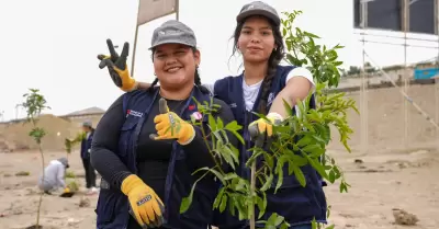 Sostenibilidad ambiental.