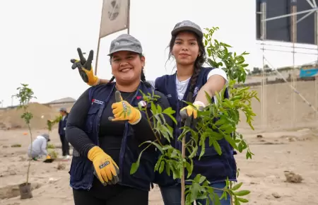 Sostenibilidad ambiental.
