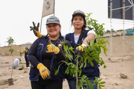 Sostenibilidad ambiental.