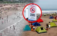 Distritos de Lima anuncian prohibiciones para acampar en playas durante celebraciones de fin de año