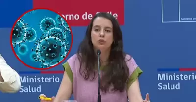 Chile confirma detecci�n de gripe A H3N2