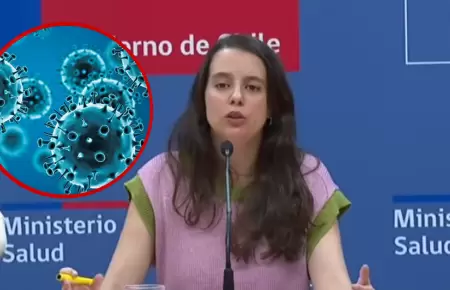 Chile confirma detecci�n de gripe A H3N2