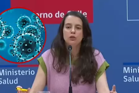 Chile confirma detecci�n de gripe A H3N2