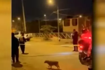 Trabajador de ladrillera en Carabayllo fue asesinado por sicarios.