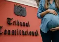TC acept� la maternidad subrogada: "Se reconoce como madre a la persona que tuvo la voluntad gestacional"