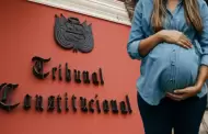 TC acept� la maternidad subrogada: "Se reconoce como madre a la persona que tuvo la voluntad gestacional"