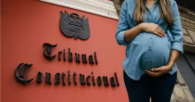 Maternidad subrogada fue resuelta por el TC