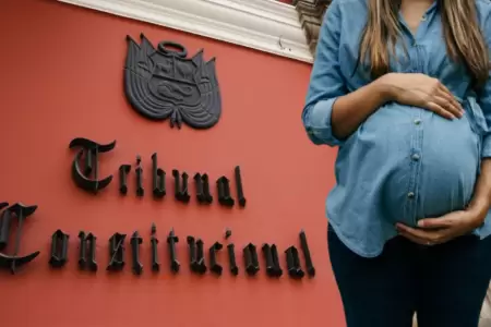 Maternidad subrogada fue resuelta por el TC