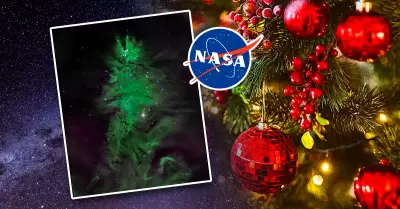 El c�mulo de estrellas, cient�ficamente como "NGC 2264", sorprendi� a internauta