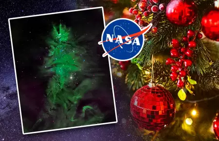 El c�mulo de estrellas, cient�ficamente como "NGC 2264", sorprendi� a internauta