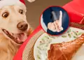 �No le invites tu cena! Veterinario advierte sobre riesgos de compartir alimentos con mascotas en Navidad