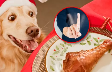 Compartir la cena navide�a con tu mascota puede terminar en una noche con el vet