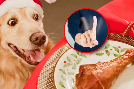 Compartir la cena navide�a con tu mascota puede terminar en una noche con el vet