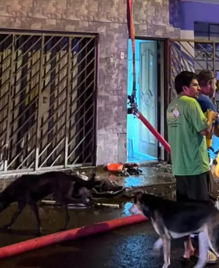 Incendio en vivienda de San Luis