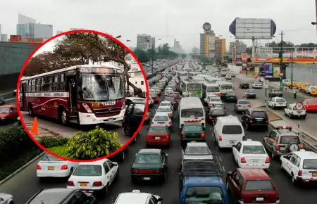Experto se�ala que con una cobertura de hasta 12 mil buses, Lima llegar�a a desc