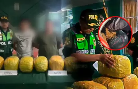 Sujetos escondieron bolsas de marihuana en interiores de bolsas de ma�z para pas