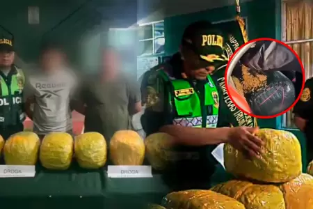 Sujetos escondieron bolsas de marihuana en interiores de bolsas de ma�z para pas