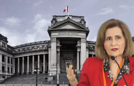 Luz Pacheco asegura constitucionalidad de ley de lesa humanidad