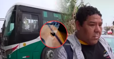 Pasajeros afectados por ataque a bus de Translicsa exigen presencia de polic�as.