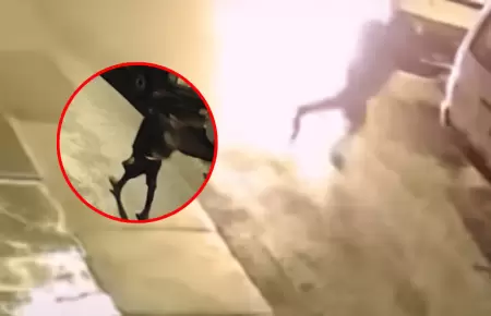 En La Molina un sujeto incendi� una combi a pocos metros de comisar�a