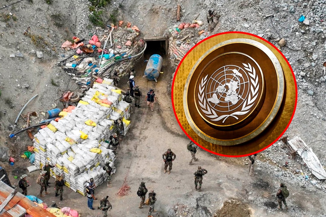 Ipenza sugiere trabajar en conjunto con organismo internacionales en la lucha contra la miner�a ilegal a nivel transnacional.