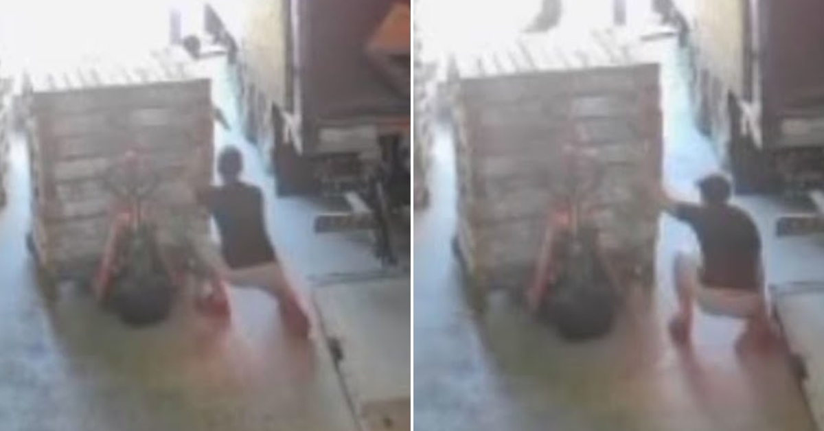 Policía en retiro mata a delincuente durante intento de robo en depósito de avícola: "Ya está loco, ya fue"