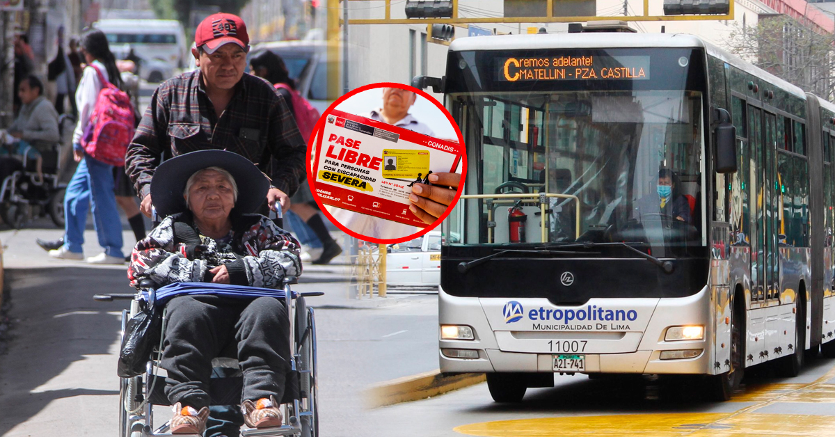 Acompañantes de personas discapacitadas podrían viajar gratis en transporte con nuevo proyecto de ley