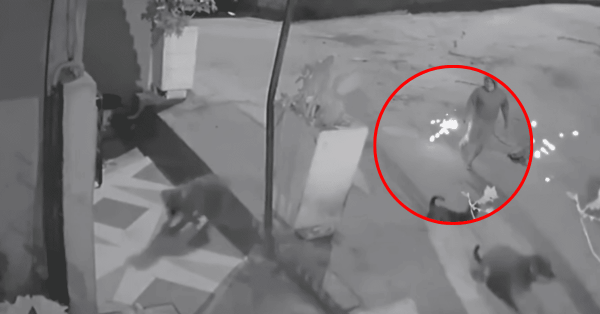 SJL: Mujer se atrasa en el pago de un préstamo y detonan explosivo en su vivienda