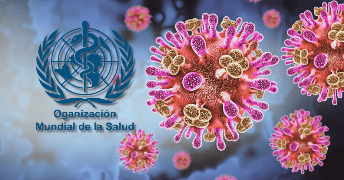 Virus Nipah: OMS informó que tiene bajo riesgo de contagio a nivel global y recomienda no restringir viajes