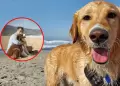 �Piensas ir este verano 2026 a la playa con tu mascota?: Conoce AQU� la lista de balnearios que lo permiten