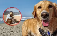 �Piensas ir este verano 2026 a la playa con tu mascota?: Conoce AQU� la lista de balnearios que lo permiten
