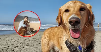 Conoce cu�les son las playas que se pueden visitar junto a sus mascotas