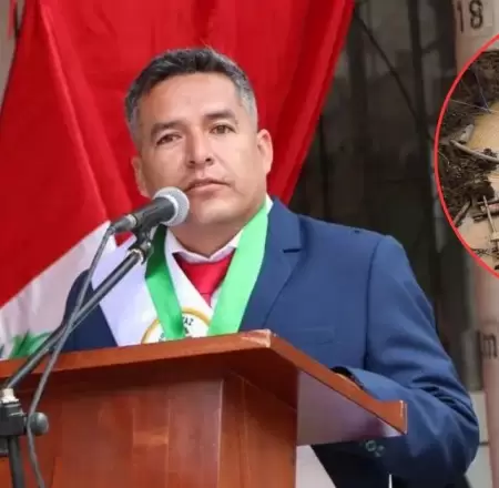 Alcalde de Pataz cuestiona a quienes va dirigido el REINFO.