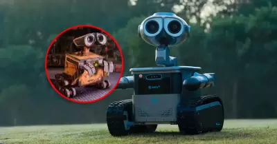 El dise�o record� mucho al del visto en WALL-E de Pixar.