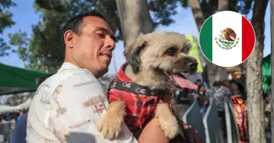 Presidente Jer� celebra norma aprobada a favor de los animales en M�xico.