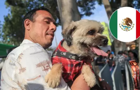 Presidente Jer� celebra norma aprobada a favor de los animales en M�xico.