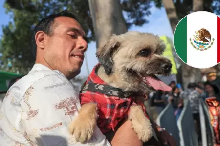 Presidente Jer� celebra norma aprobada a favor de los animales en M�xico.